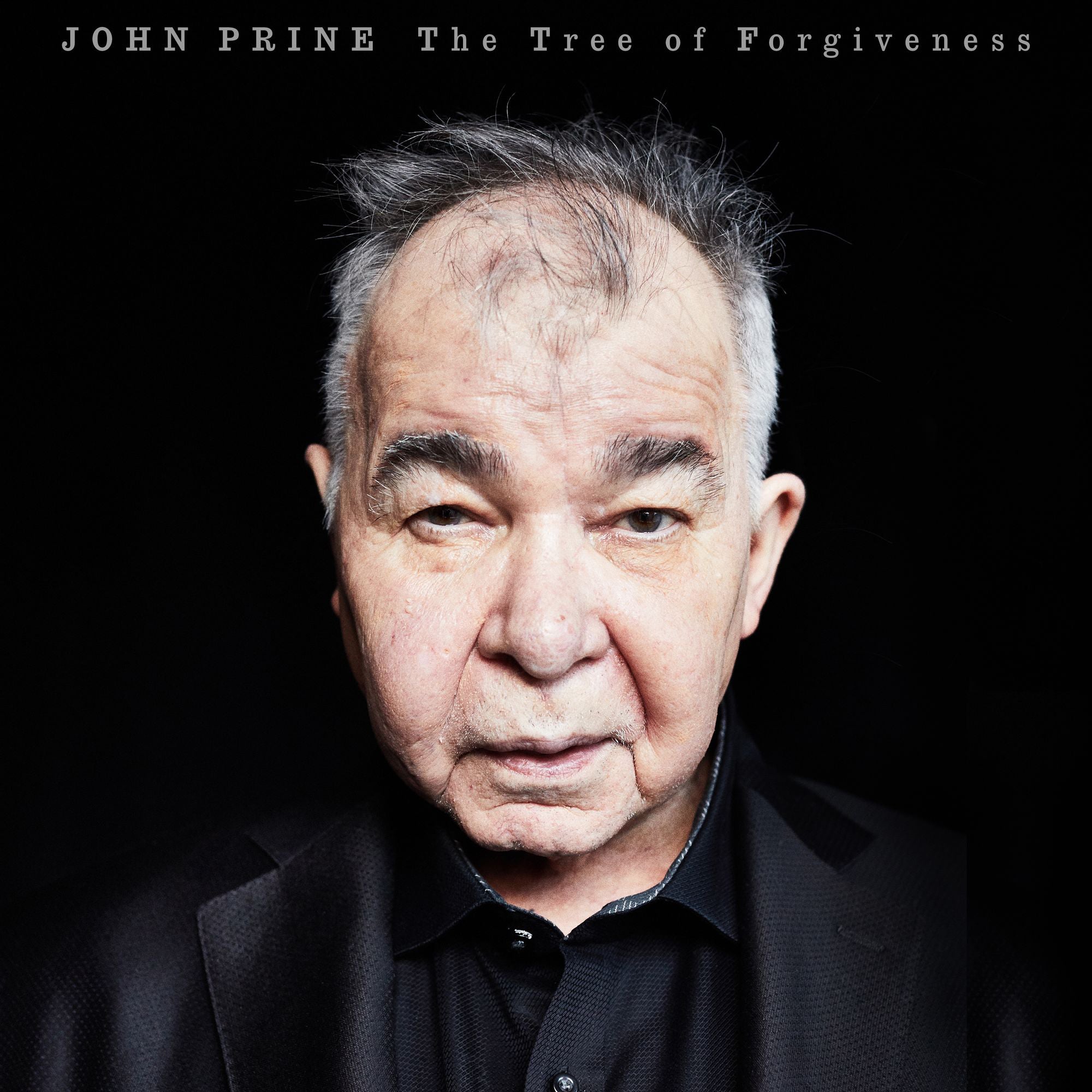 The Tree Of Forgiveness - Front Cover