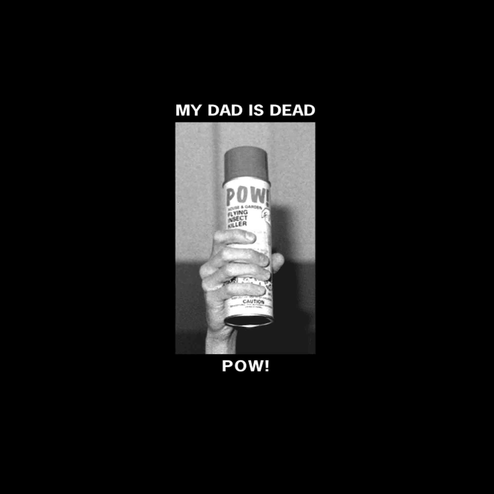 Pow! - Front Cover