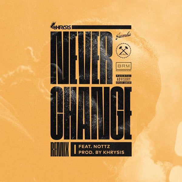 Never Change (Nottz Remix) - THOK Version - Front Cover
