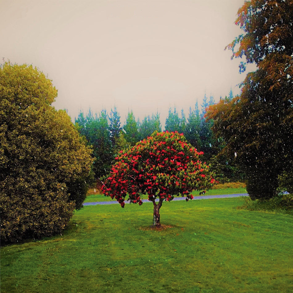 Foothills - Front Cover