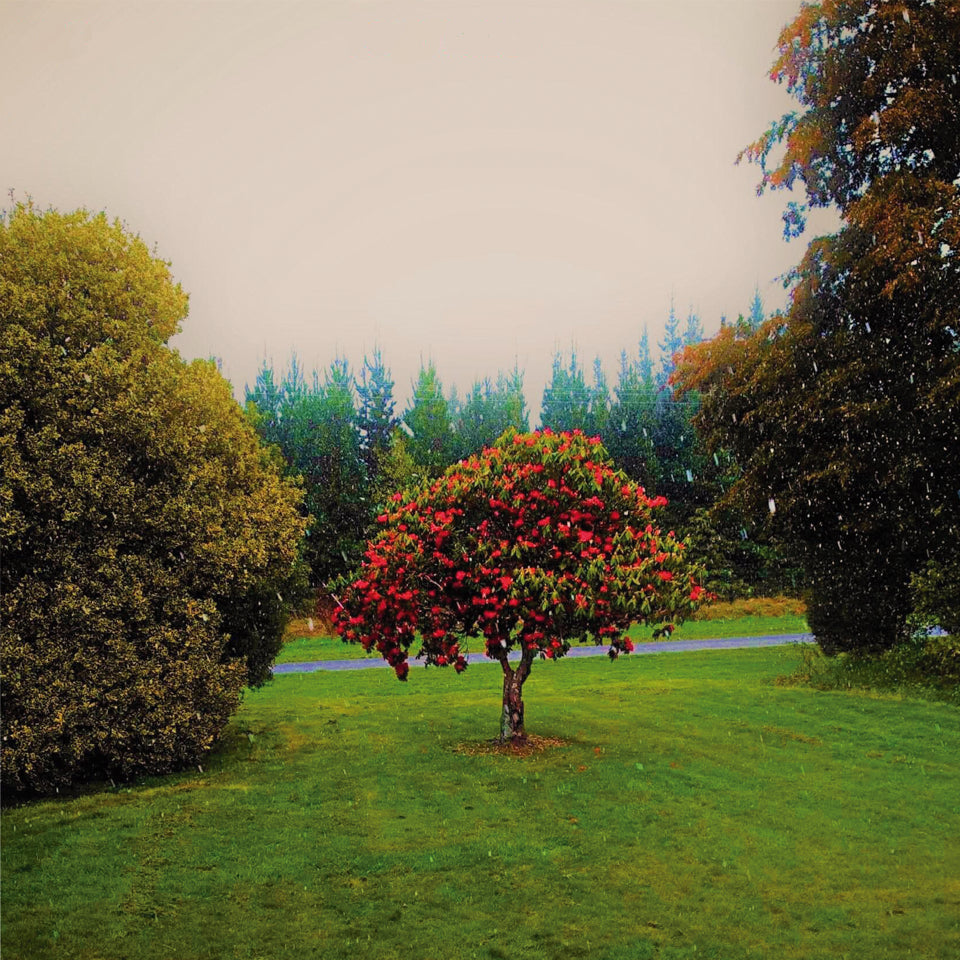 Foothills - Front Cover