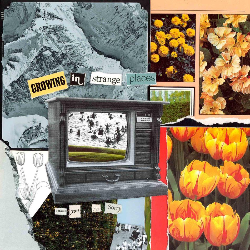 Growing In Strange Places - Vinyle Orange - Front Cover