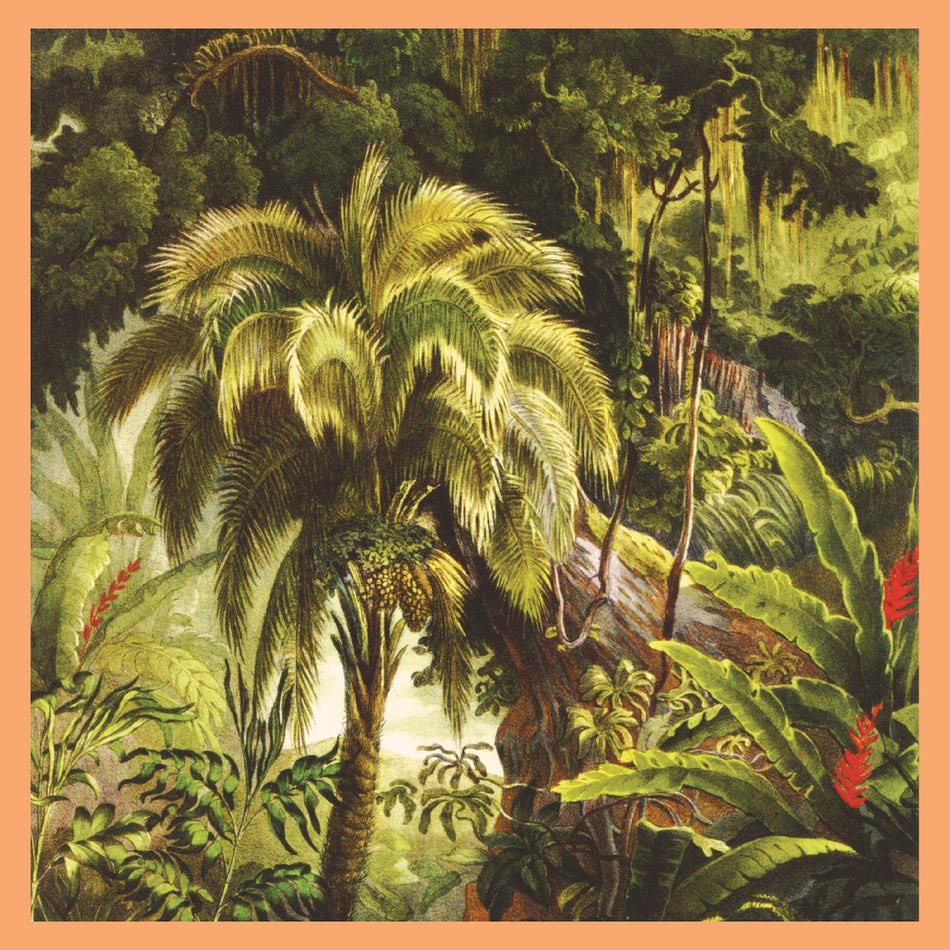 LA FORET/VINYLE COULEUR TOURBILLON COUCHE DE SOLEIL - Front Cover