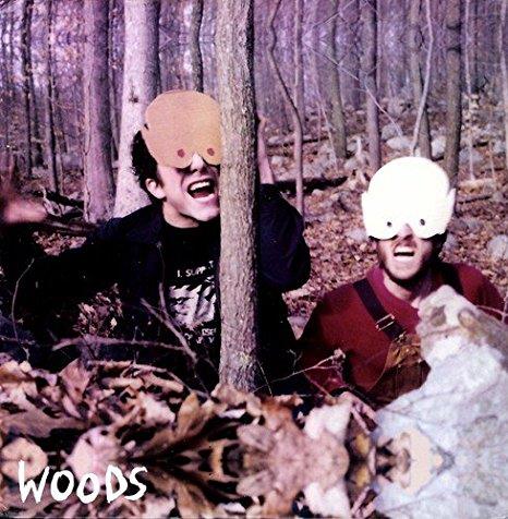 How to survive in / In the woods - Front Cover