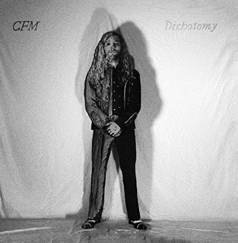 Dichotomy Desaturated - Front Cover