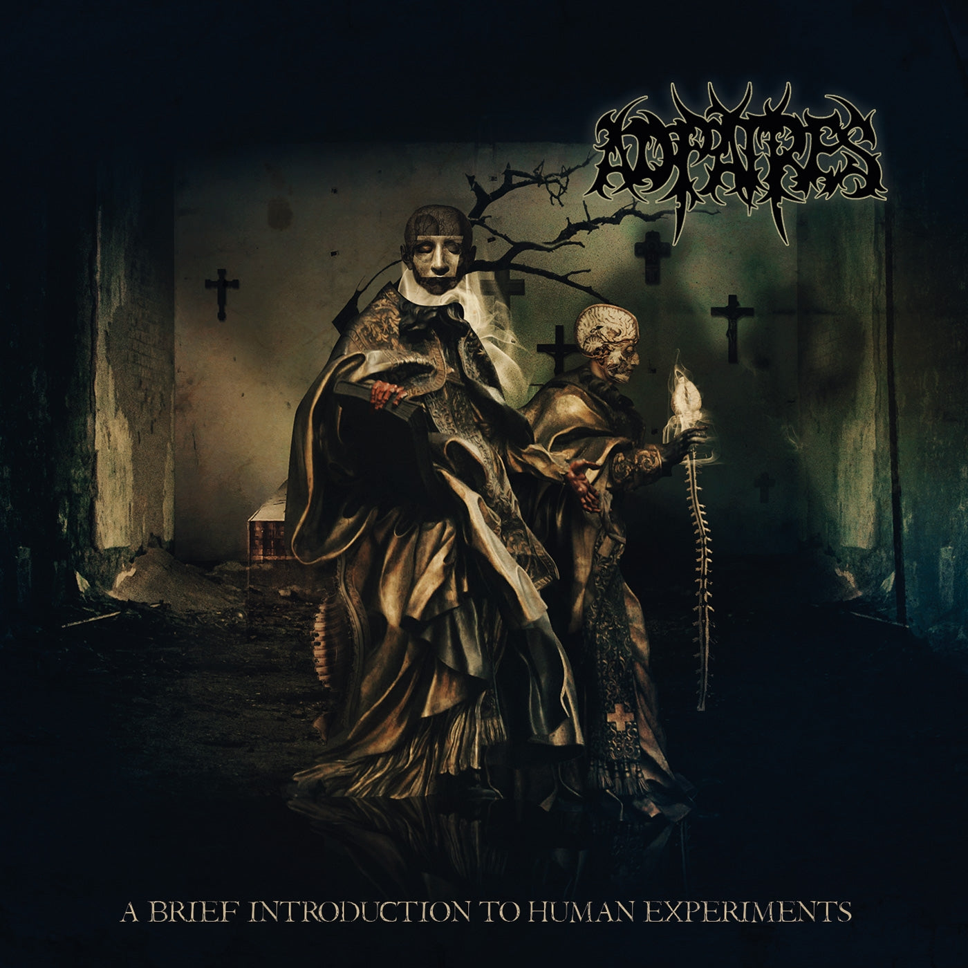 A Brief Introduction To Human Experiments - Front Cover