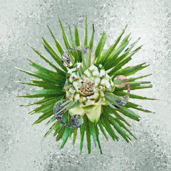 How - Front Cover