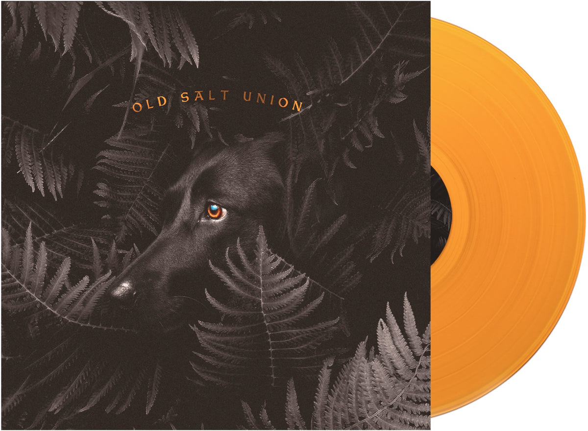 WHERE THE DOGS DON T BITE/VINYLE COULEUR - Front Cover