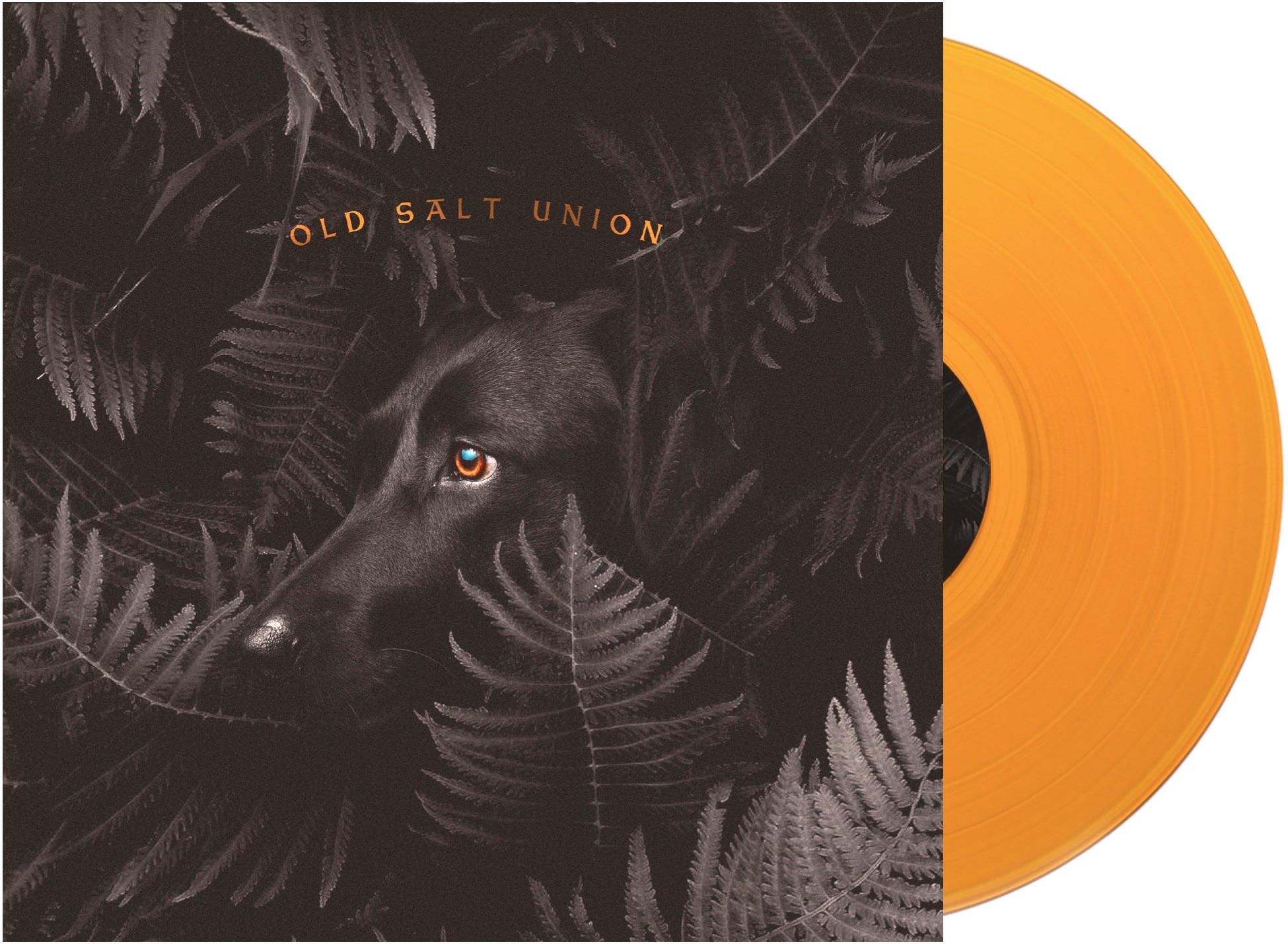 WHERE THE DOGS DON T BITE/VINYLE COULEUR - Front Cover