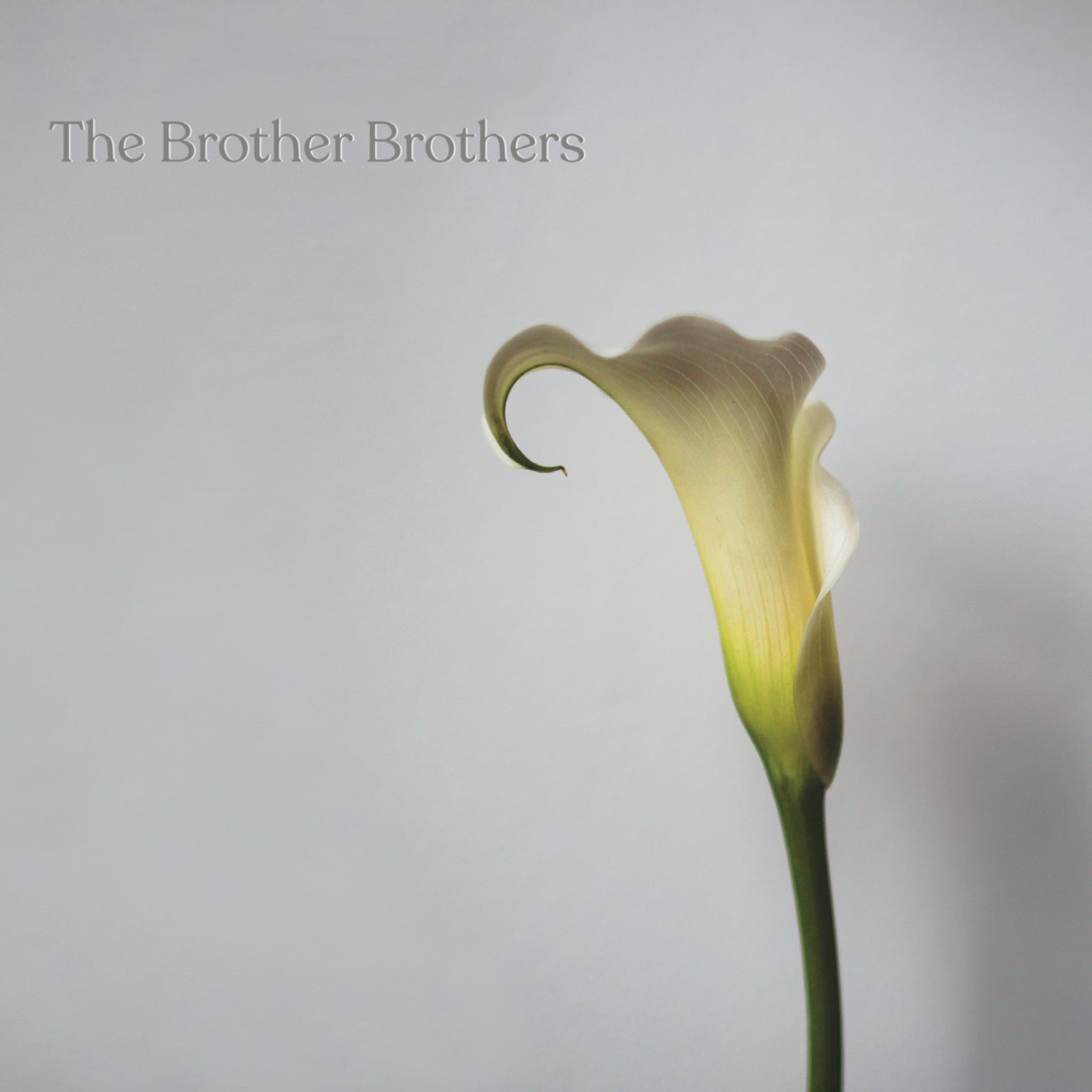 CALLA LILY - Front Cover