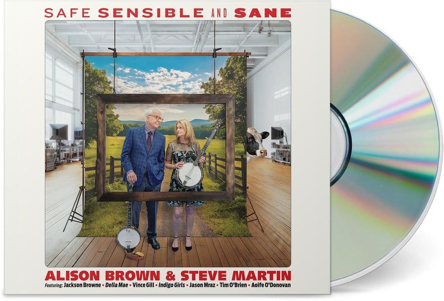 Safe, Sensible And Sane - Front Cover