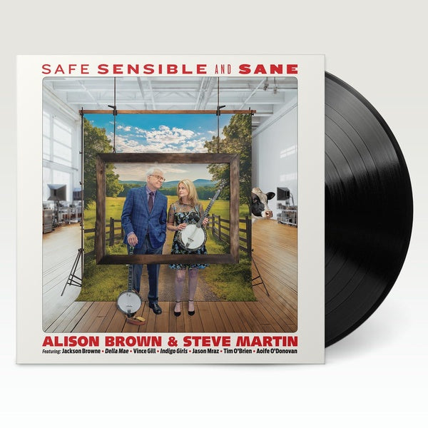 Safe Sensible And Sane - Front Cover