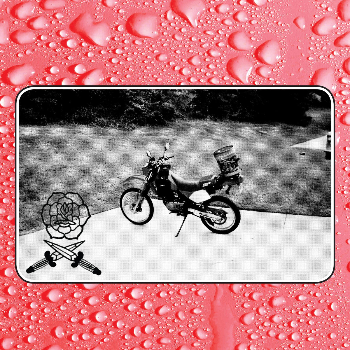 Say I Won't - Front Cover