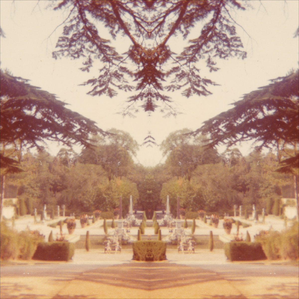 Nightshade - Front Cover