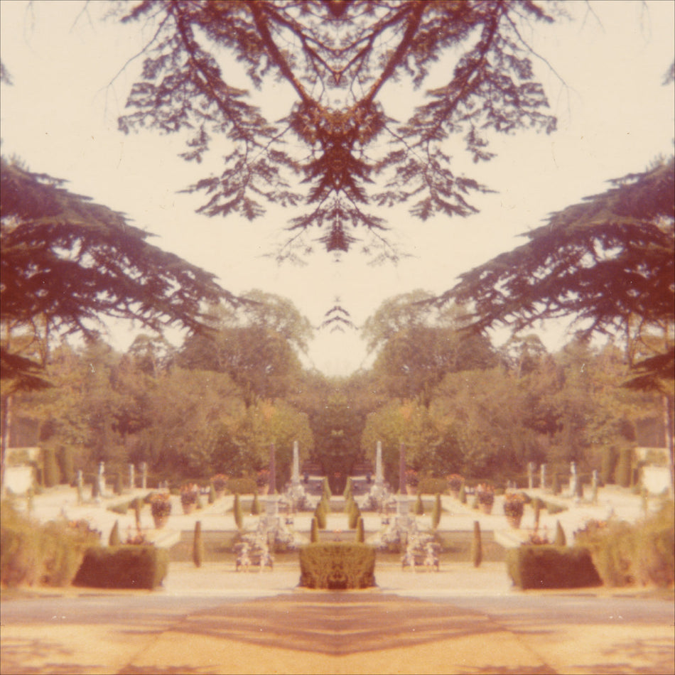 Nightshade - Front Cover