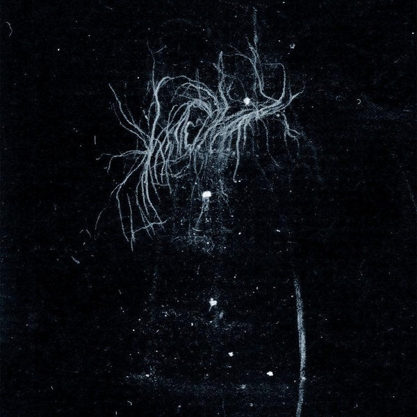 My Death Is More Beautiful Than Your Life - Front Cover