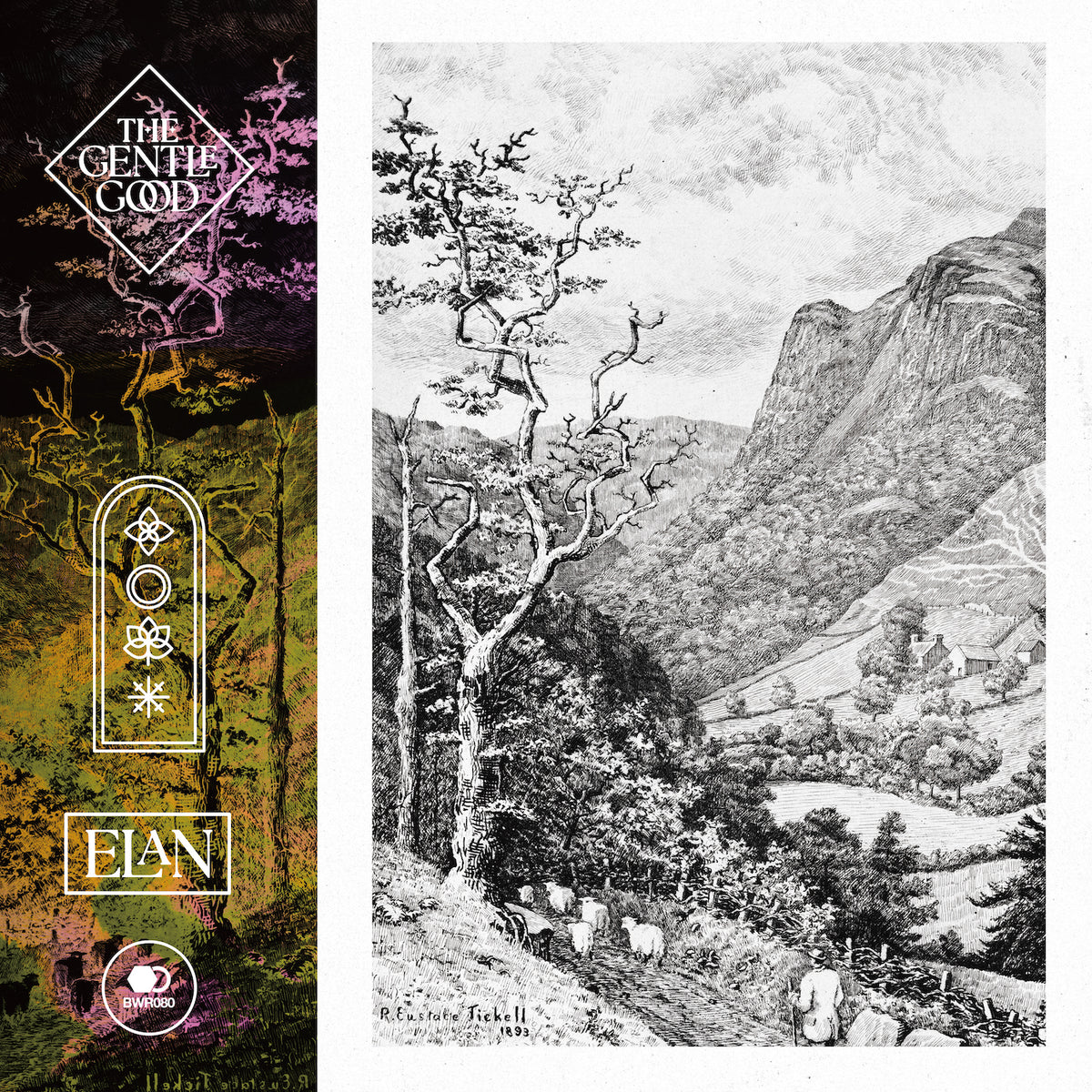 Elan/Gatefold/Eco-Mix Coloured Vinyl - Front Cover