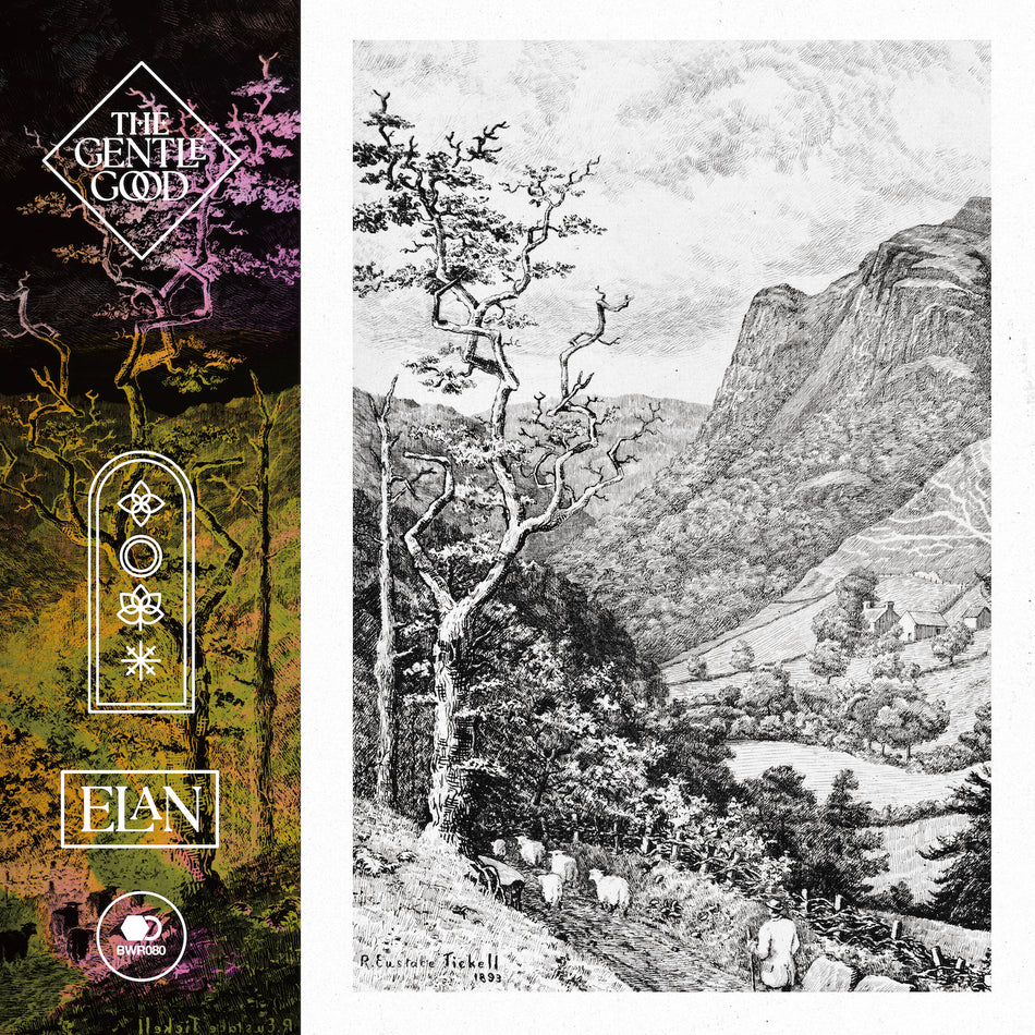 Elan/Gatefold/Eco-Mix Coloured Vinyl - Front Cover