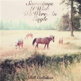 Sometimes I Wish We Were An Eagle - Front Cover