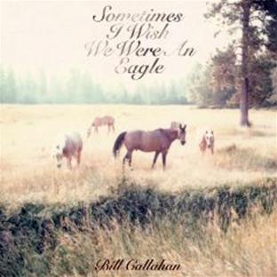 Sometimes I wish we were an eagle - Front Cover