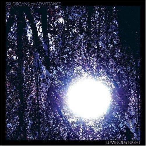 Luminous Night - Front Cover