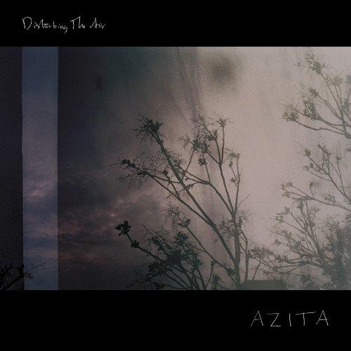 Disturbing the air - Front Cover