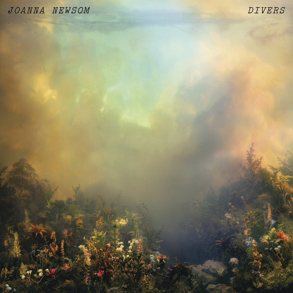 Divers - Front Cover