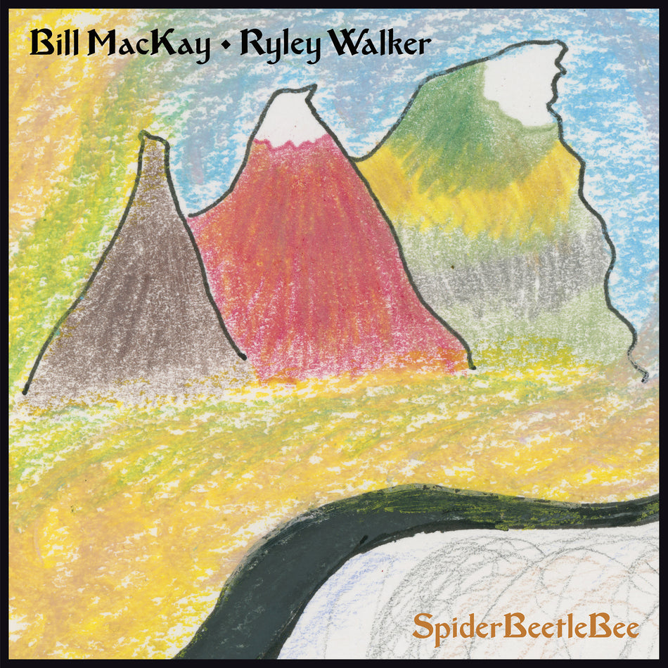 Spiderbeetlebee - Front Cover