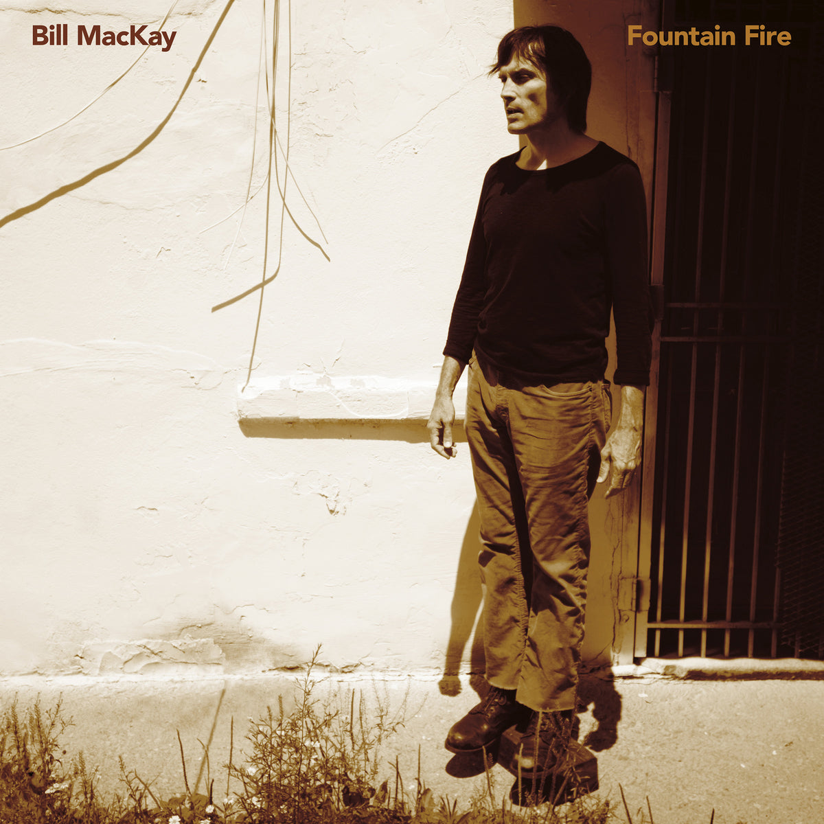 Fountain Fire - Front Cover