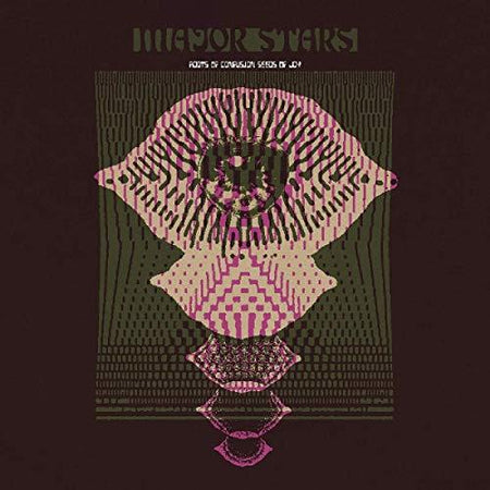 Roots Of Confusion Seeds Of Joy - Front Cover
