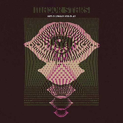 Roots Of Confusion Seeds Of Joy - Front Cover