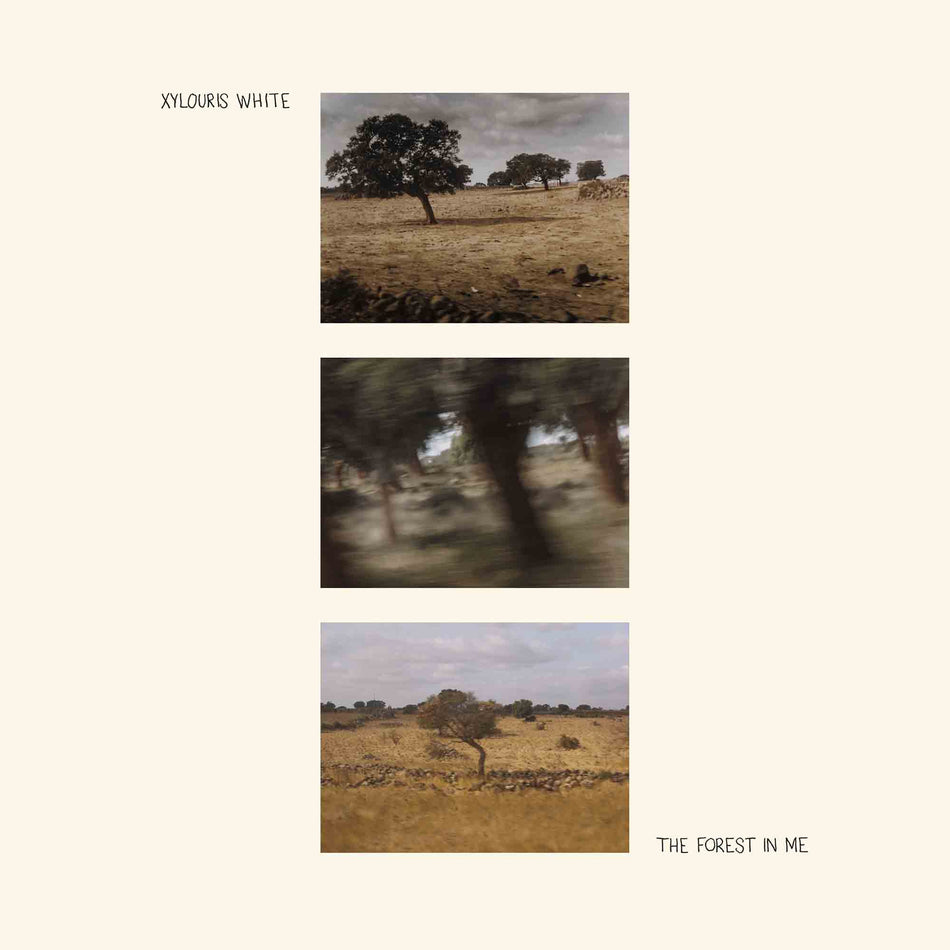 The Forest In Me - Front Cover