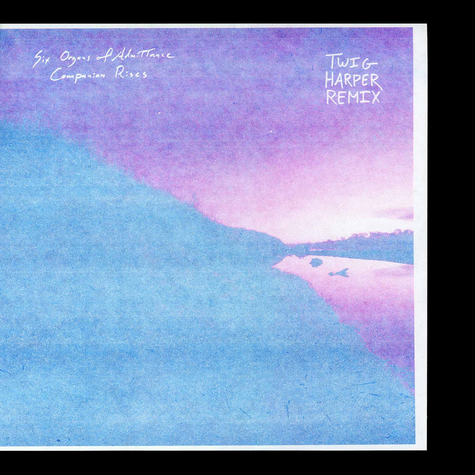Companion Rises (Twig Harper Remix) - Front Cover