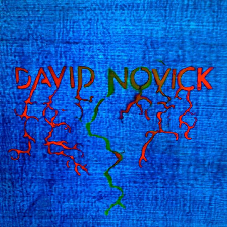 David Novick - Front Cover
