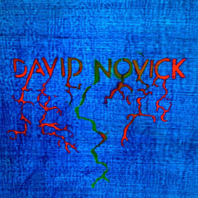 David Novick - Front Cover