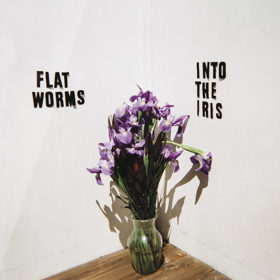 Into The Iris - Front Cover