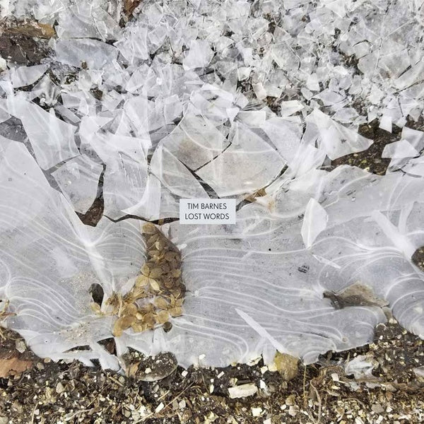 Lost Words - Front Cover