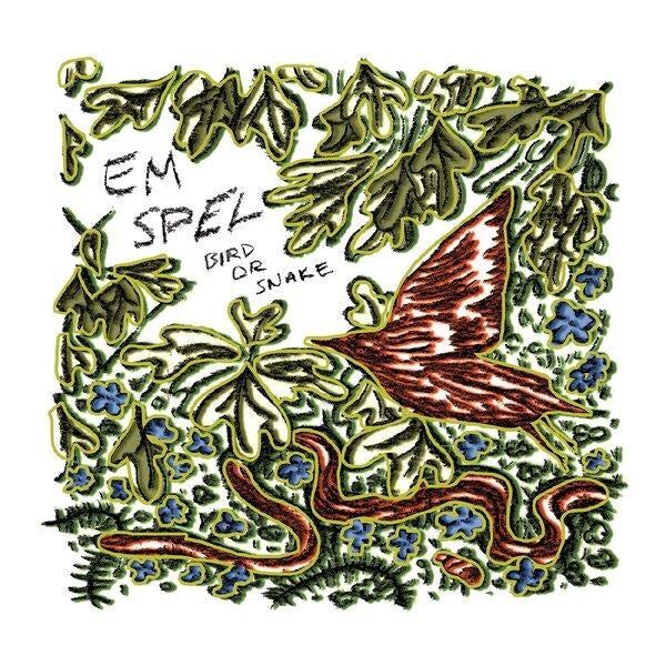 Bird Or Snake - Front Cover