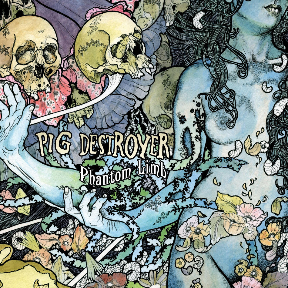 Phantom Limb - Front Cover