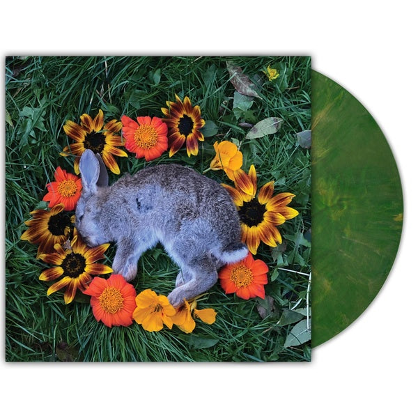 Your Time To Shin Vinyle Coloré - Front Cover