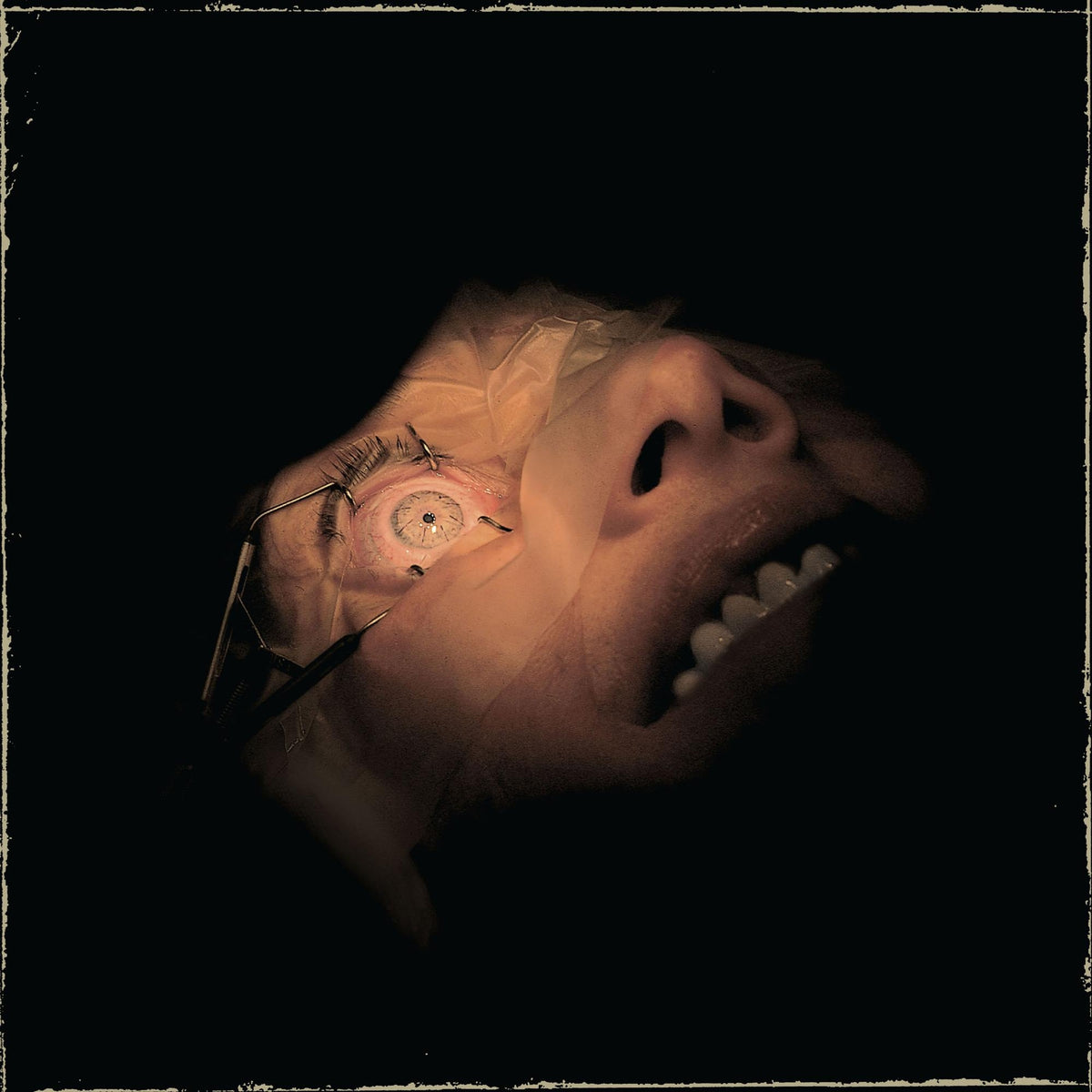 Anatomy Is Destiny - Front Cover