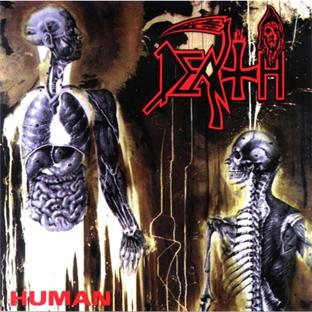 Human - Front Cover