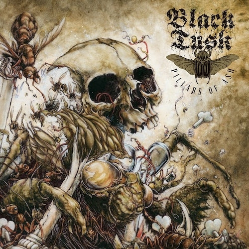Pillars Of Ash - Front Cover