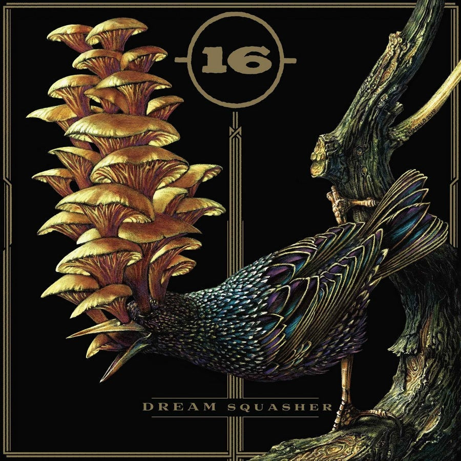 Dream Squasher - Front Cover