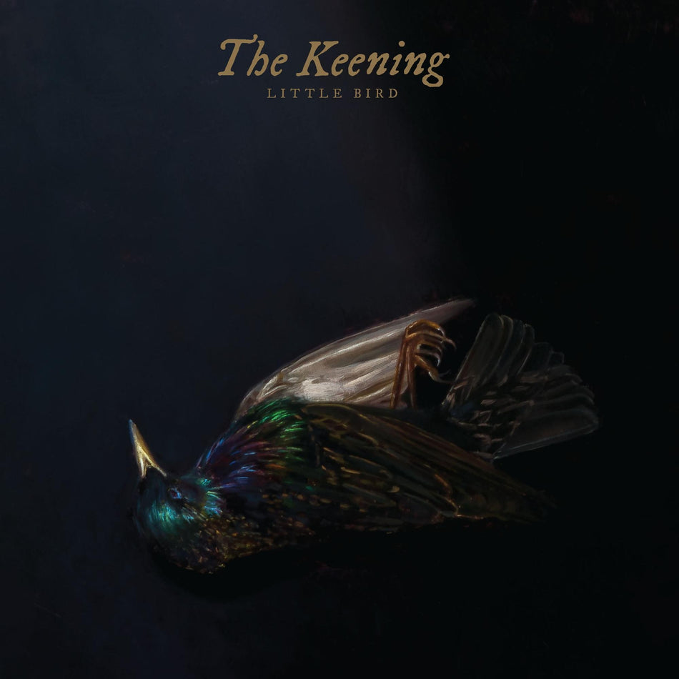 Little Bird - Front Cover