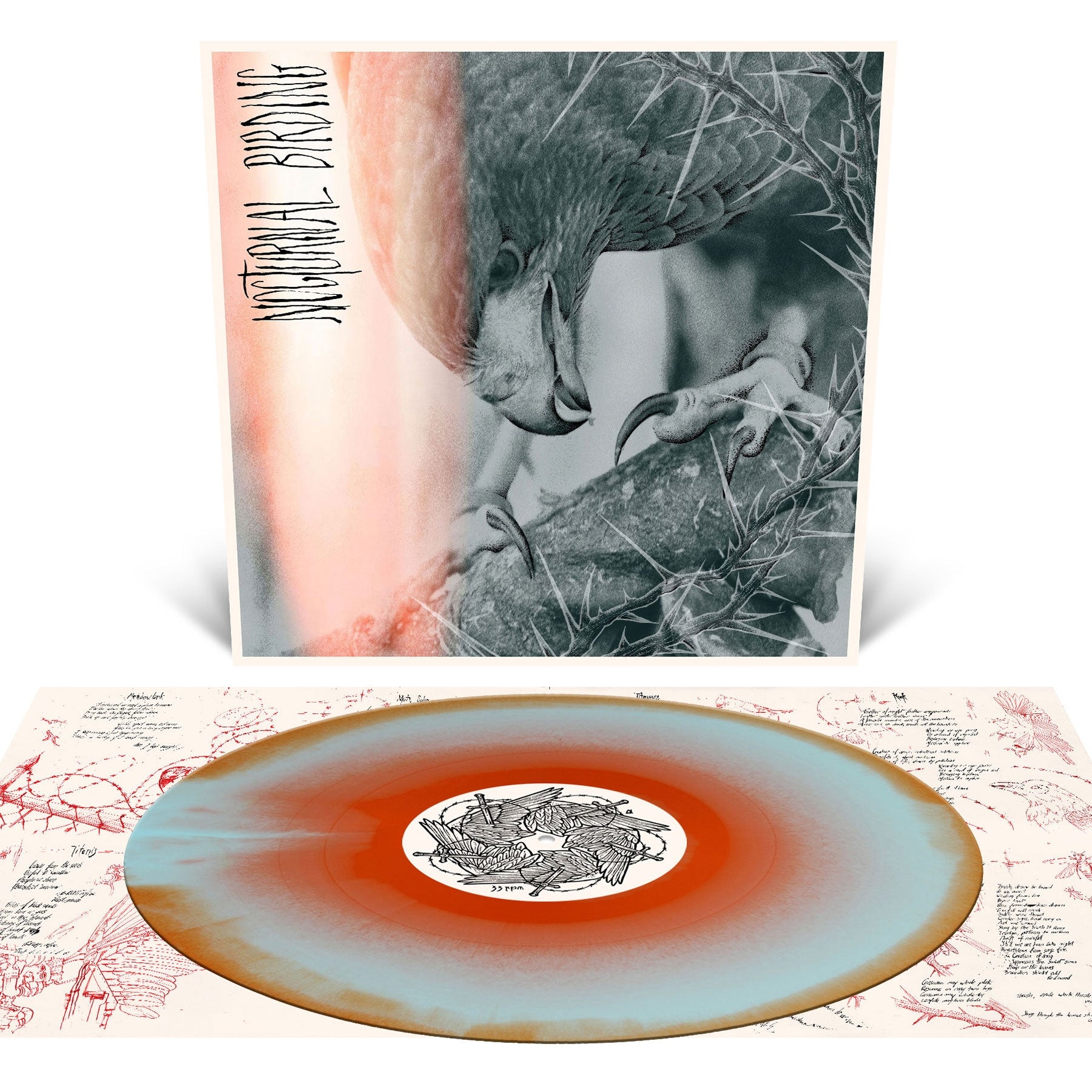 Nocturnal Birding - Front Cover