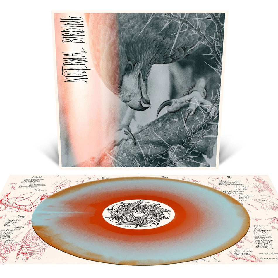 Nocturnal Birding - Front Cover