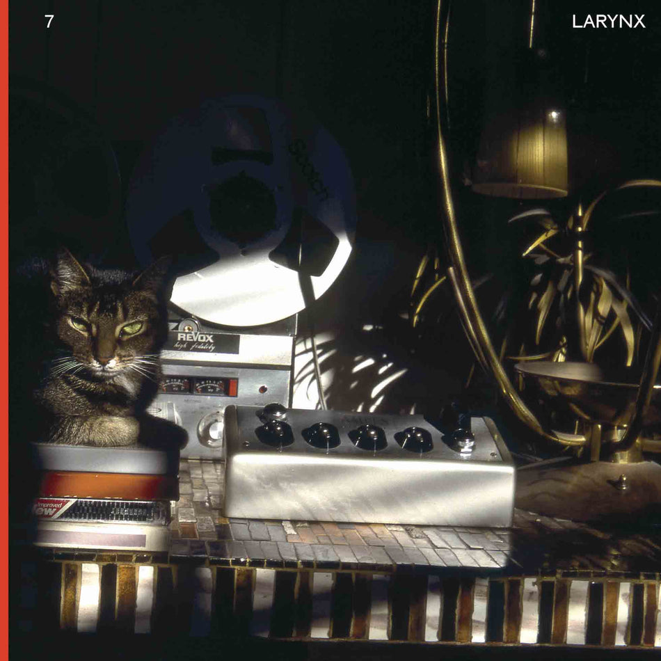 Larynx - Front Cover