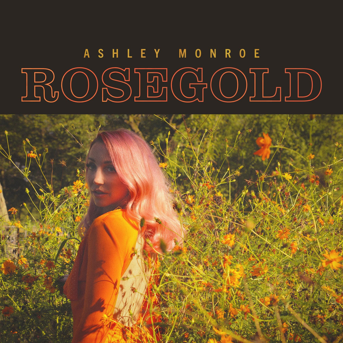Rosegold - Front Cover