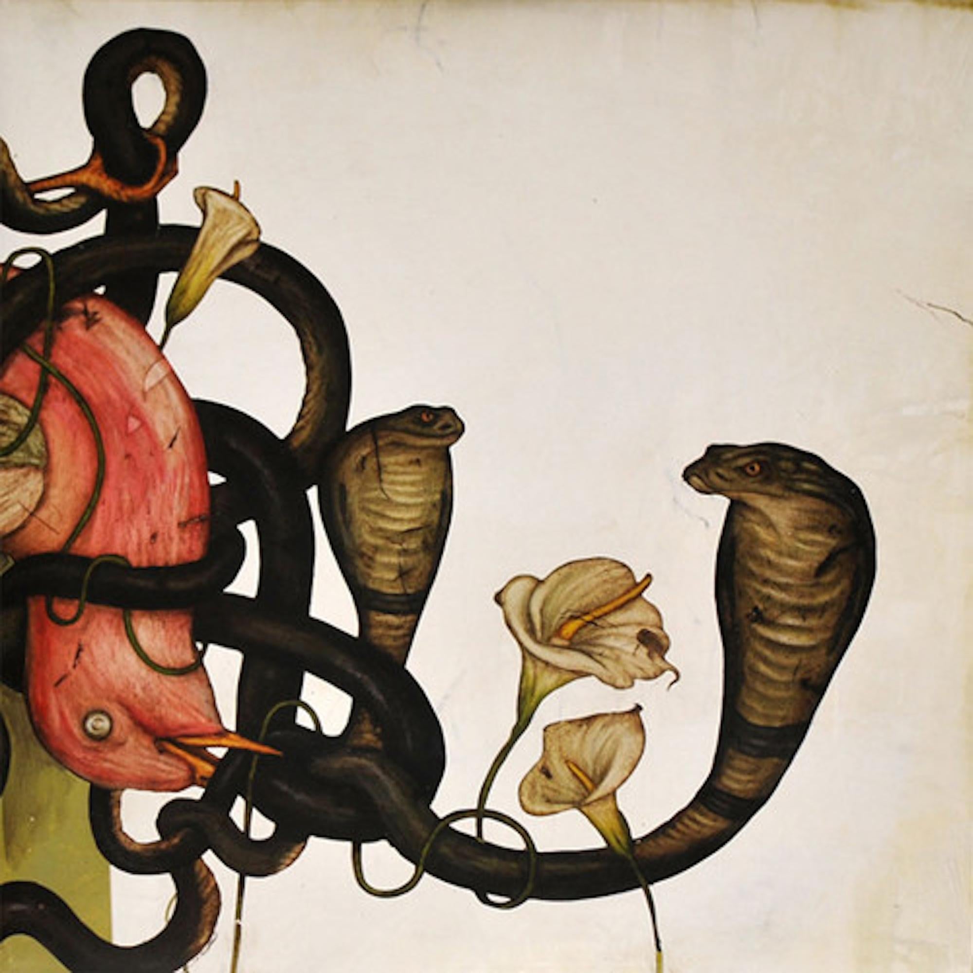 Head Down - Front Cover